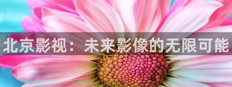 桔子影院最新电视剧