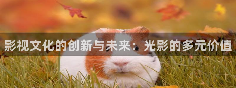 桔子影视免费在线观看：影视文化的创新与未来：光影的多元价值