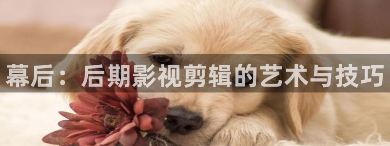 桔子影院电视剧免费播放在线：幕后：后期影视剪辑的艺术与技巧