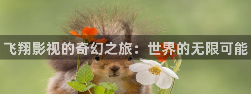 桔子影院电视剧全集：飞翔影视的奇幻之旅：世界的无限可能